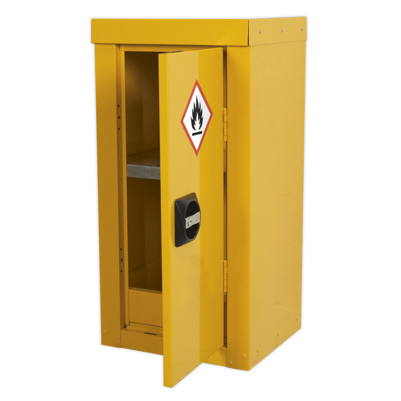 Shanita Metal Safety Cabinet