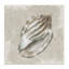 Conch Shell sur toile à motif rétro, design par Conrad Knutsen-880675647
