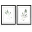 Simple sauge - ensemble de 2 reproductions d'art encadrées-1578471021-1541205128-1578471018