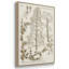 «Sepia Botanical Journal IV», ensemble de 3 reproductions de photos sur toile-97710285-97710288