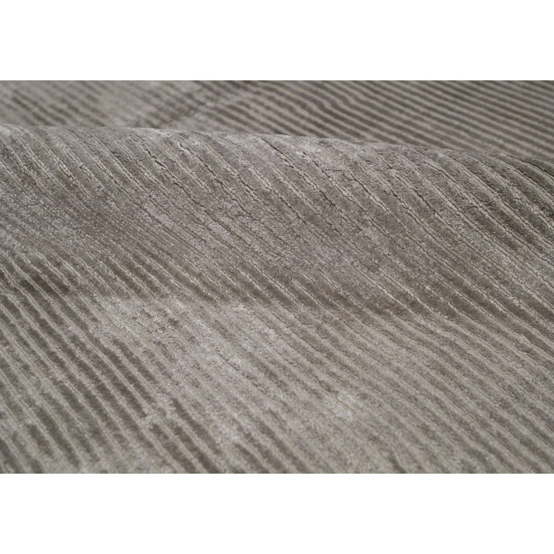 Area Rug in Beige