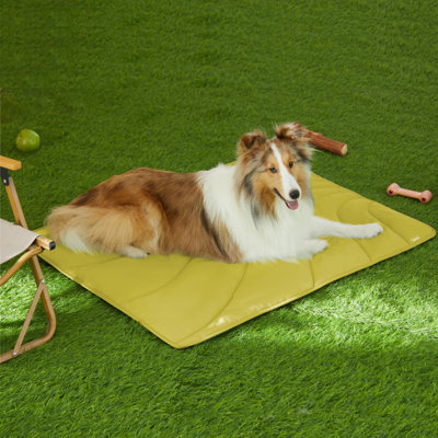 Tapis de voyage en nylon pour chien
