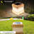 Juuli Solar Powered Stone Pathway Light-2028859913