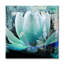 Reproduction d’art graphique sur toile tendue « Painted Petals XXIV » par Tristan Scott-28141620
