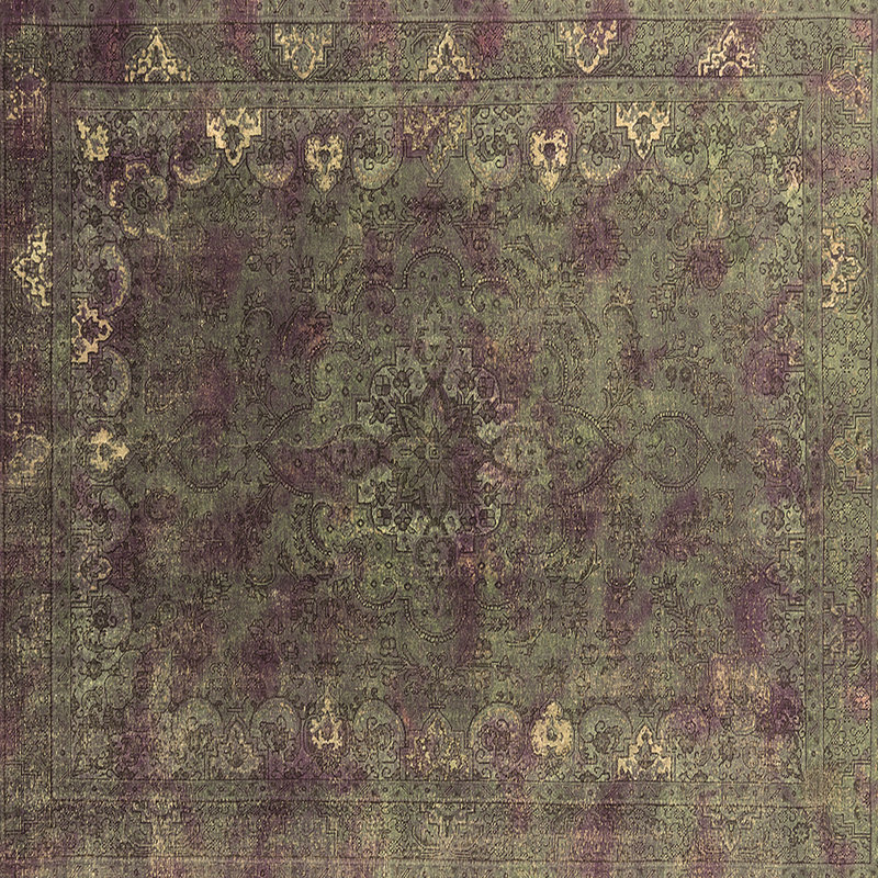 Hornstein Oriental Indoor Rug, Square 3'