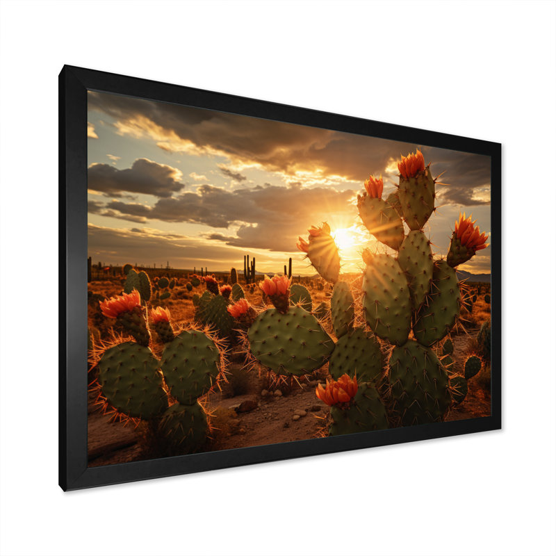 Champ de cactus vert avec coucher de soleil - impression, H 12 po x l 20 po x P 1 po, Cadre simple noir