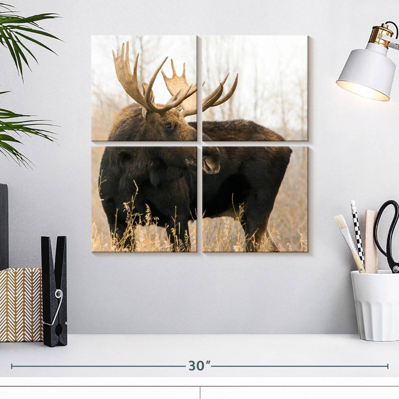 Brampt Wyoming Moose, 18'' H x 18'' W