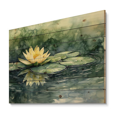 Water Lotus Flower Tranquility At The Pond II - Lotus Wood Print - On Natural Pine Wood