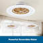 Ventilateur de plafond avec ensemble d'éclairage Maeliyah