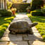 Figurine de tortue réaliste de 30,51 po de long, statue de tortue en résine haute de 11,22 po, grande sculpture de jardin d'extérieur pour décoration naturelle et thématique