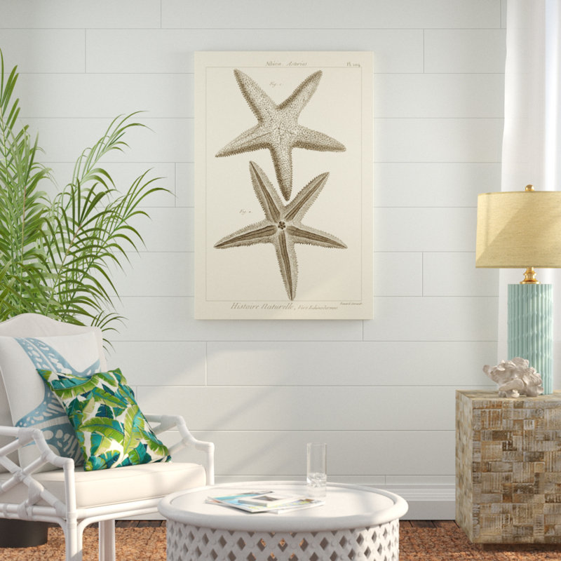 Striking Starfish I - Graphic Art, 122cm H x 81cm W, Wrapped Canvas