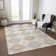 Machine Washable Indoor/Outdoor Christain ACN1445 Ivory Rug