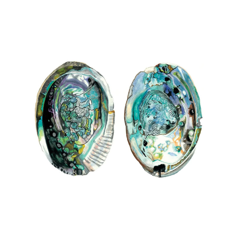 Abalone Shells I NMC215, H 18 po x l 26 po x P 1,5 po