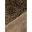 Chantel Oriental Area Rug