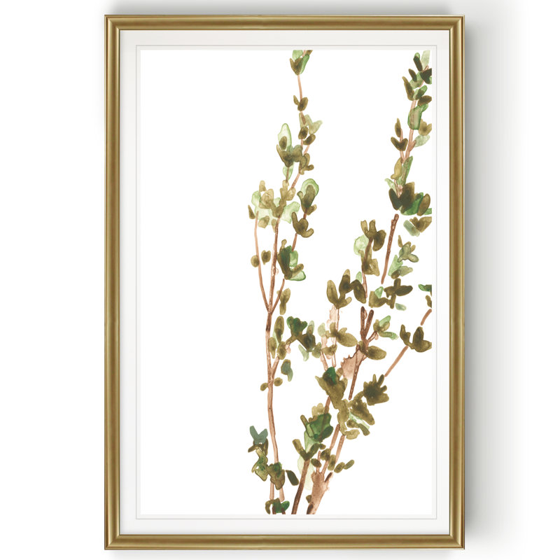 Earthtone Herbs II - reproduction d'art sur toile, H 26,5 po x l 36,5 po x P 1,5 po, Cadre doré