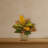 Garden Croton Plant in Ceramic Planter