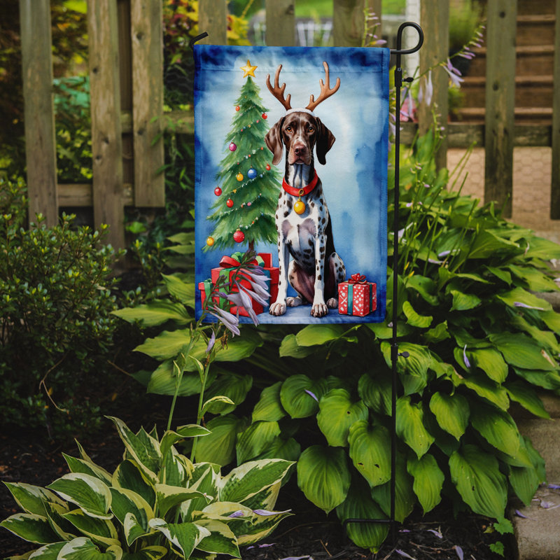 Drapeau de Noël renne de jardin, Braque allemand à poil court