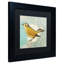 « wilson warbler ii », reproduction d’art sur toile encadrée-13605522-13605523