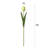 Tulip Arrangement-1691568786