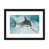 Black Framed Paper