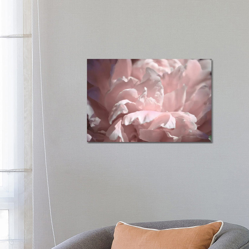 Velvet Peony II 1 Piece Wrapped Canvas Wall Art, 45.72cm H x 66.04cm W x 1.905cm D