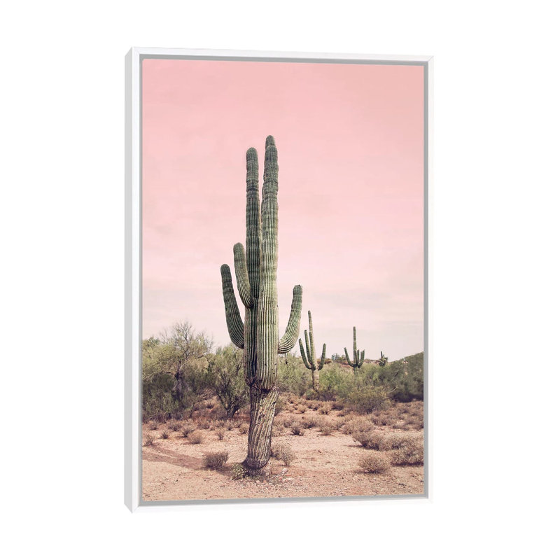 «Desert Cactus Blush» par Sissi et Seb - impression d'art graphique, Sans passe-partout / noir et blanc