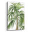  «Riviera Palms 2 C» par Wild Apple Portfolio, art mural en verre, 16 po x 24 po-456081483