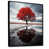 Black Floater Framed