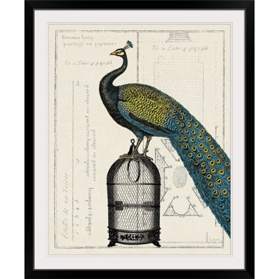 « ii » par sue schlabach, impression Peacock Birdcage