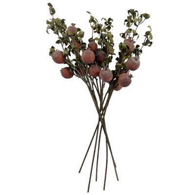 Antiqua Arrangement