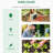 4' X 2' X 2' Portable Mini Greenhouse, Small Green House With PE Cover, Roll-Up Zippered Windows