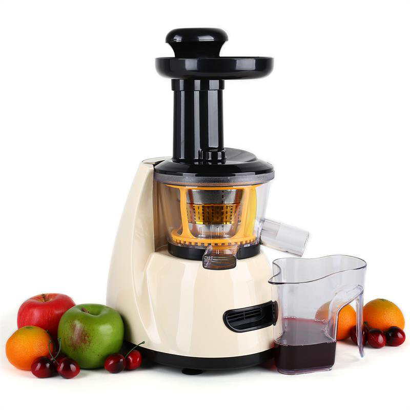 Klarstein Fruitpresso Speed Electric Slow Masticating & Cold Press Juicer Accessory