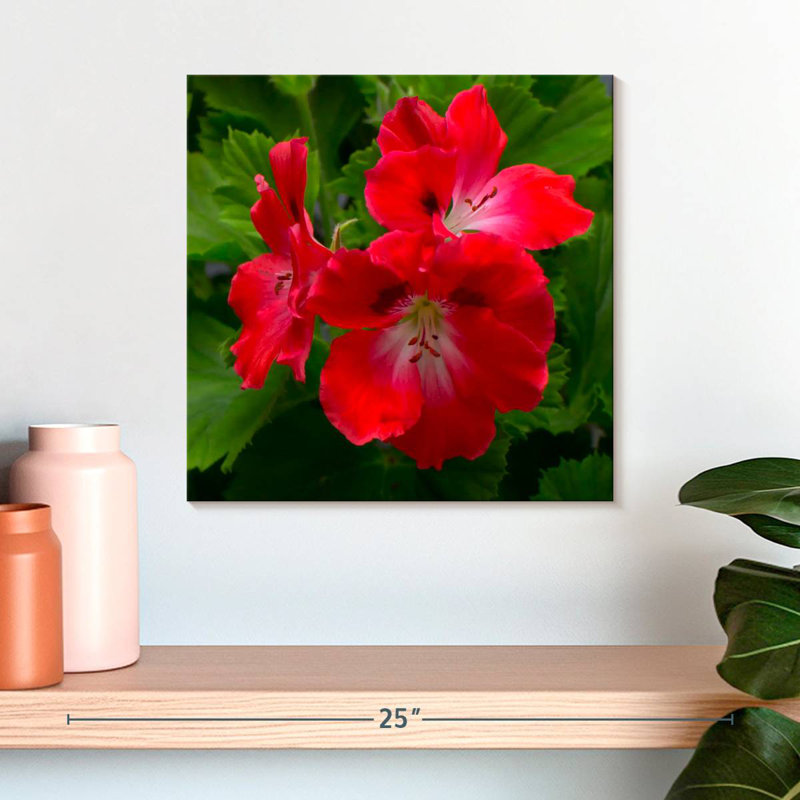 Harnek Red Hibiscus Flowers