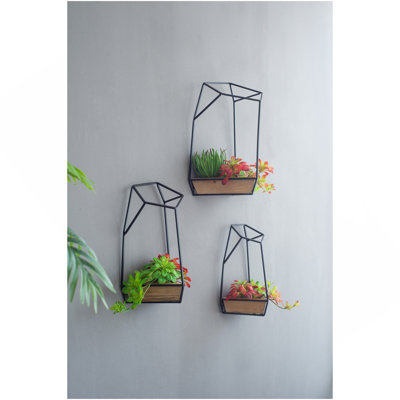 Set Of 3 Felix Wall Planter, L:10X10x16.5"  M:8.5X8.5X15.5" S:7X7x13.5"