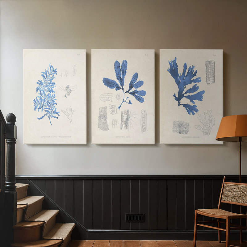 Blue Marine Algae VI - Toile tendue avec châssis sur mesure - 3 pièces, H 36 po x l 72 po