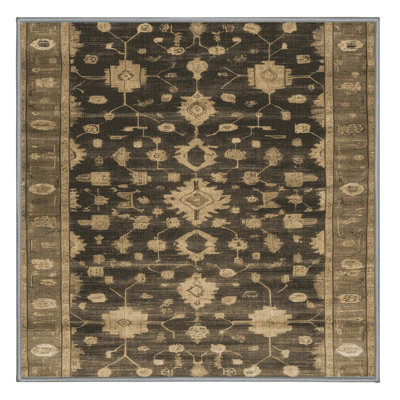 Machine Washable Overdyed Brown Area Rug