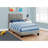 Rojus Kids-520983377-477945982