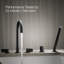 Composants Support de douchette à fixation sur le plateau et valve de dérivation bidirectionnelle