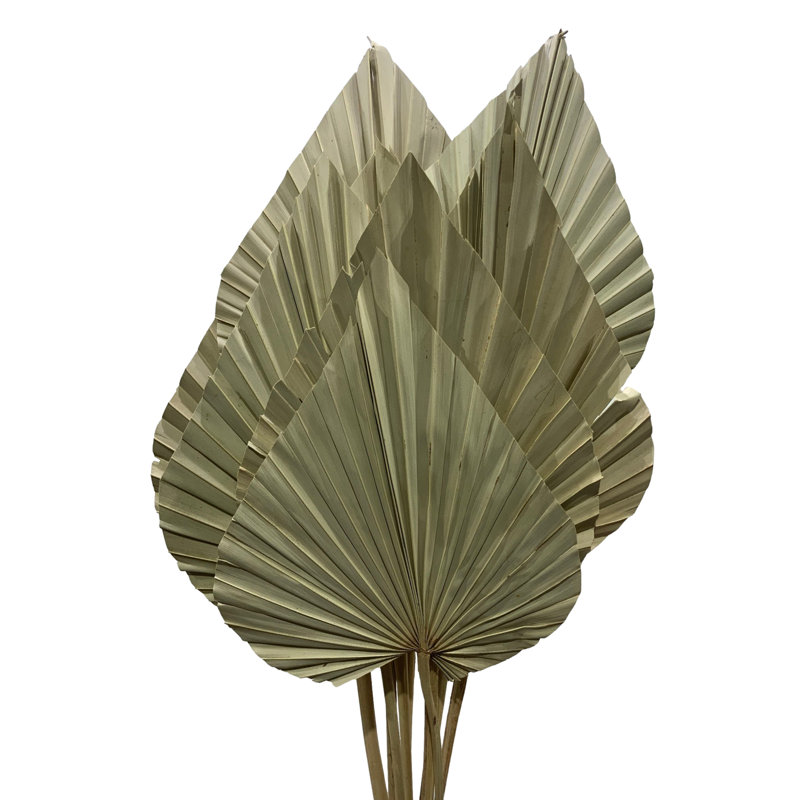 Erkson Arrangement