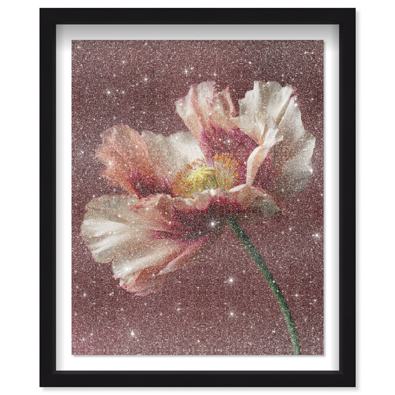 Merlot Blush Blossom I Shadowbox Floral & Botanical Print by Oliver Gal, Black Frame, 16 x 20, 31.5"H x 37.5"W