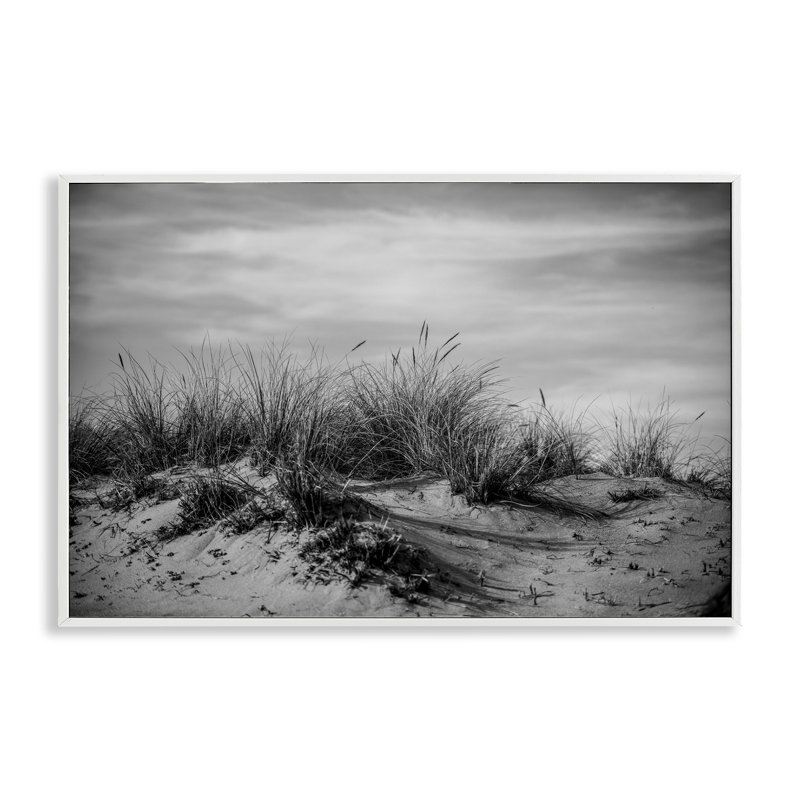 «Point Reyes Beach Dunes», estampe numérique par Crystal Lynn Collins, H 16 po x l 24 po