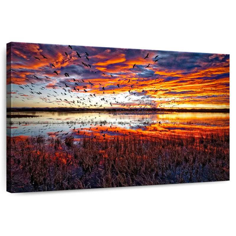 Oies des neiges d'Alvord à Bosque Del Apache I, H 32 po x l 48 po