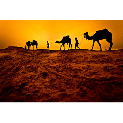 Camel Caravan par Adamkaz