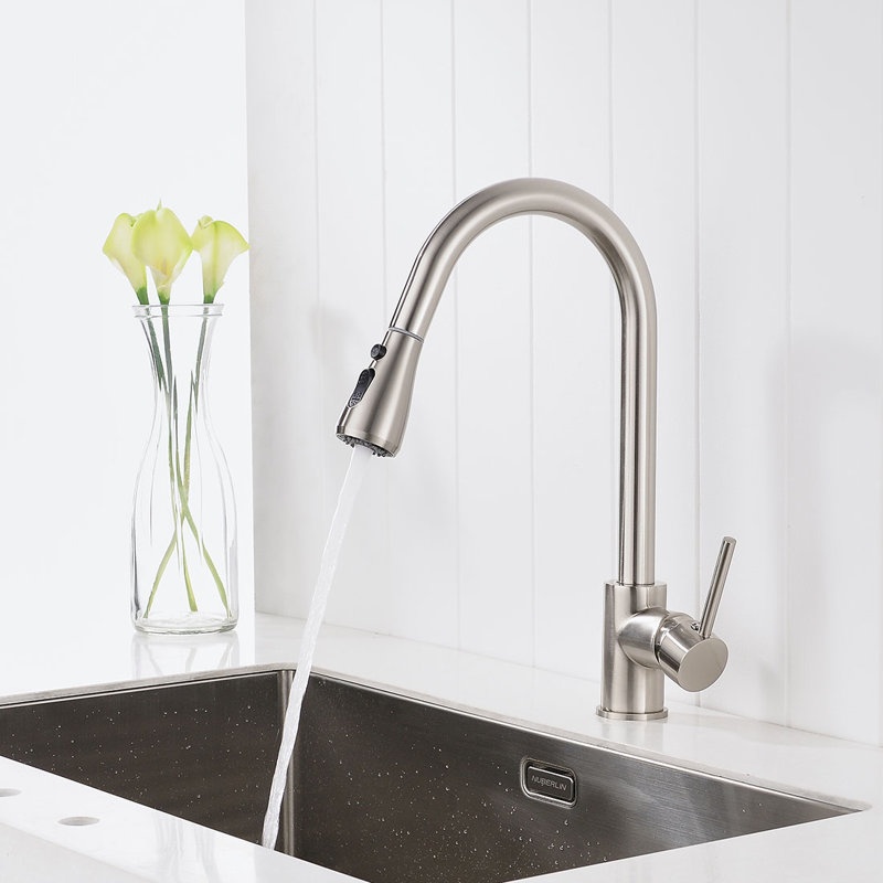 FLG Pull Out Kitchen Faucet