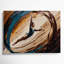 Art sportif sur toile brune-286042766