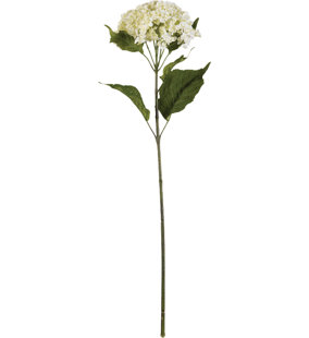 Arrangement