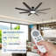 Ceiling Fan-1629712561