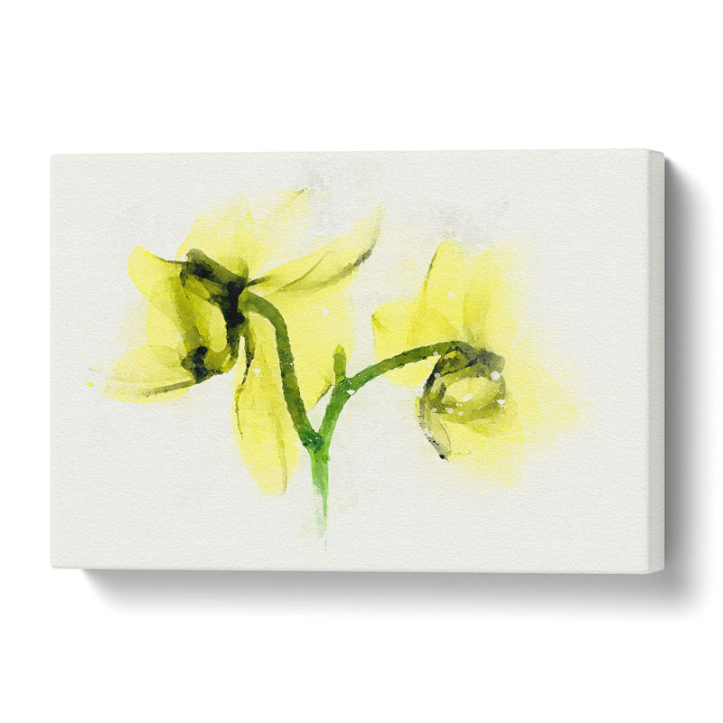 Yellow Orchid Flower in Abstract - Wrapped Canvas, 50 cm H x 76 cm W