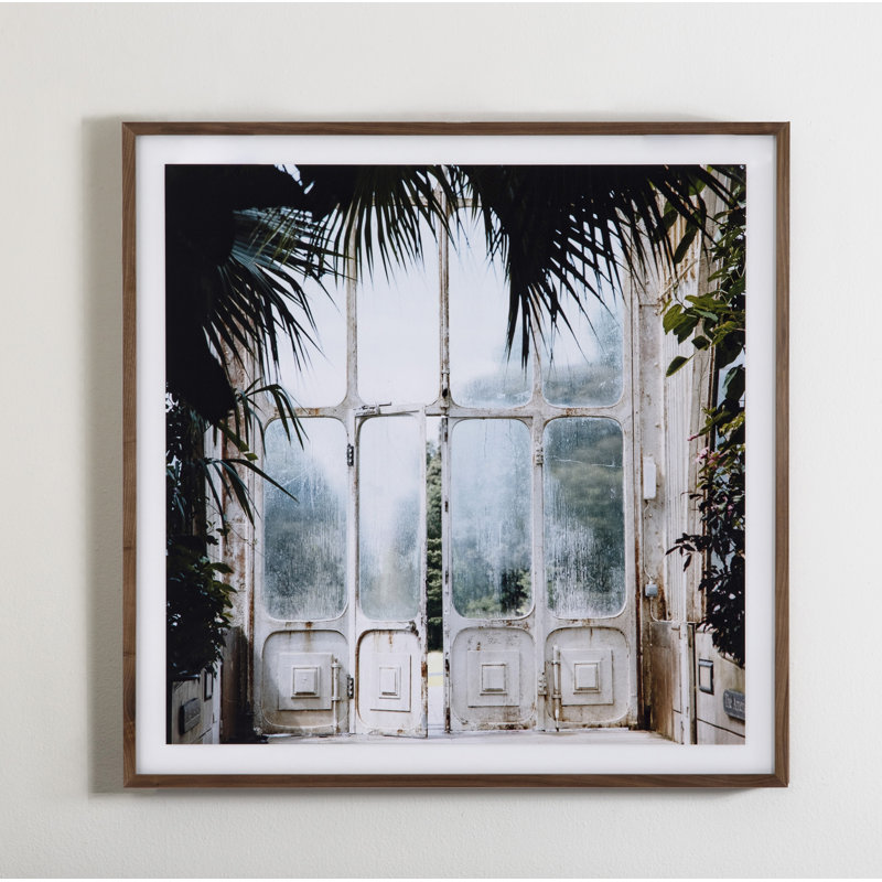 Greenhouse II Print by Annie Spratt, 32" H x 32" W x 2.5" D