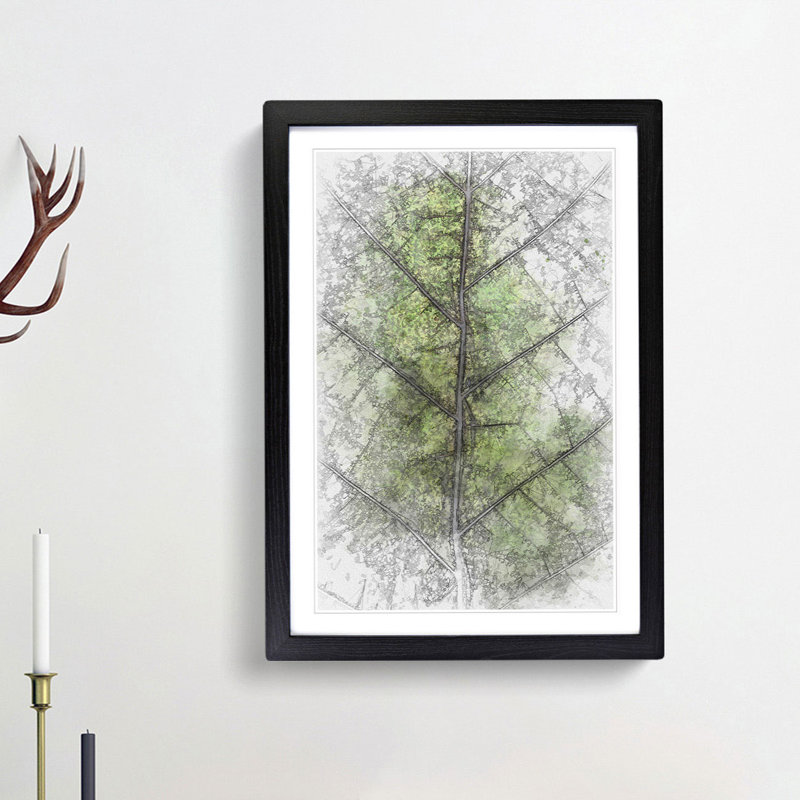 Leaf Lines in Abstract - Picture Frame Graphic Art Print, 65cm H x 48cm W x 2cm D, Black Framed